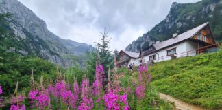 Pe cărări spre cabana Mălăiești, frumoasa fortăreață străjuită de piscurile aspre ale Bucegilor traseu montan râșnov mălăiești bucegi