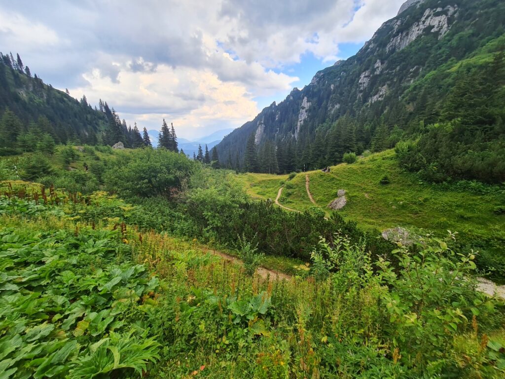 traseu montan râșnov mălăiești bucegi