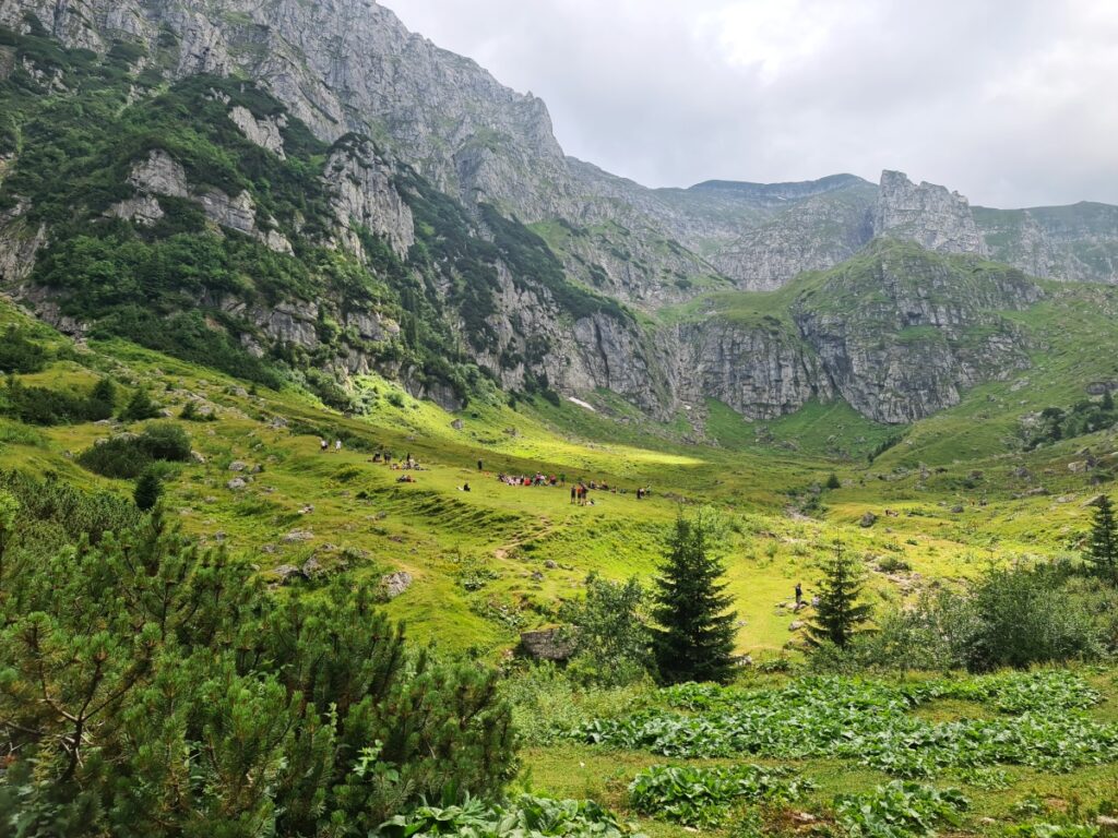 traseu montan râșnov mălăiești bucegi