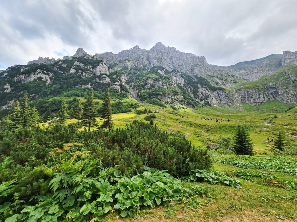 traseu montan râșnov mălăiești bucegi