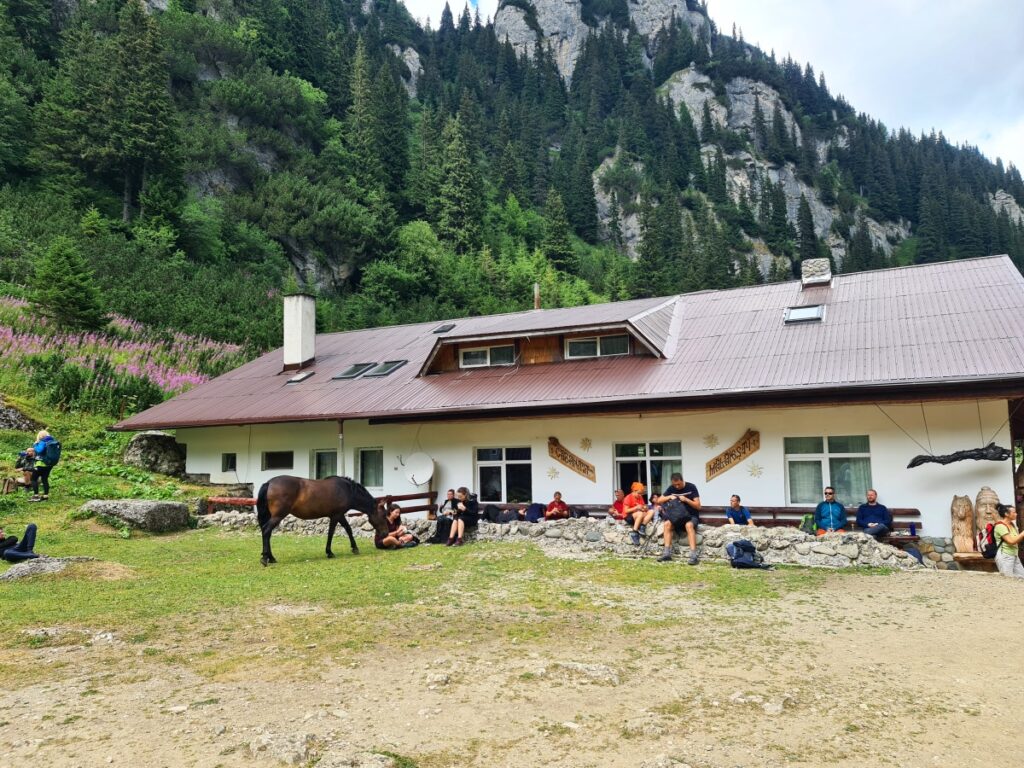 traseu montan râșnov mălăiești bucegi