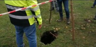 Cum arată fisura care a apărut în barajul de la Roșia Montană fisură baraj roșia montană tăul mare