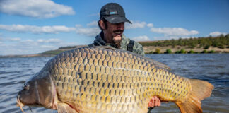 Un crap uriaș, de peste 30 de kilograme, a fost prins într-un lac din România crap