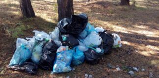 A fost declarată stare de alertă într-un județ din România din cauza gunoaielor FOTO: mbousevschool120/Pixabay.com