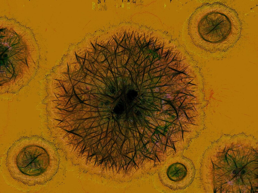 virus bacterie celulă
