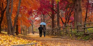 Cum va fi vremea în ultima săptămână de septembrie FOTO: chulmin1700/Pixabay.com