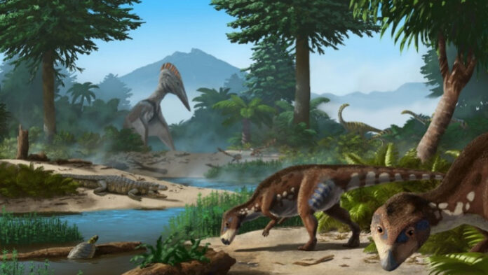 nouă specie dinozaur țara hațegului transylvanosaurus platycephalus