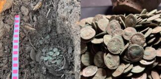 Comoară fabuloasă descoperită de câțiva români cu detectoare de metale. 800 de monede antice din argint comoară denari romani argint alb
