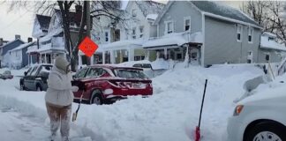 Furtună în SUA: 56 de morți. În Florida iguanele au înghețat și au căzut din copaci zăpadă