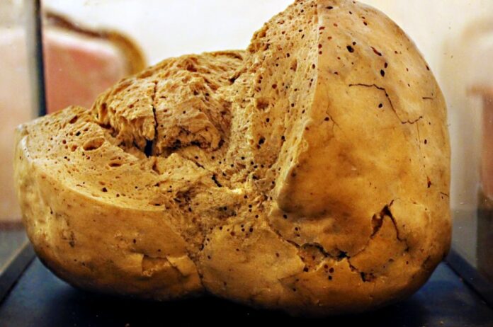 Cea mai veche pâine din lume este în România FOTO: Muzeul de Istorie Galați/via adevarul.ro