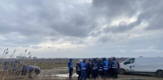 14 câini prinși la Lacul Morii, unde o femeie a fost ucisă de o haită. Mulți dintre ei „sunt câini ieșiți din curți”