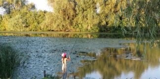 O bacterie periculoasă a fost depistată în concentrații foarte mari în Dunăre dunăre pescuit pescar