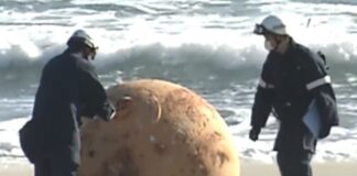 O uriașă minge metalică bizară a apărut pe un țărm din Japonia. Autoritățile nu știu ce este minge japonia