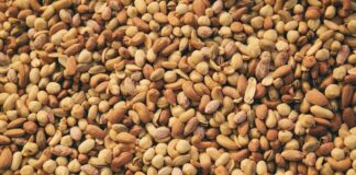 Câte calorii au alunele crude, prăjite, coapte, de pădure. 8 exemple câte calorii au alunele prăjite coapte crude de pădure