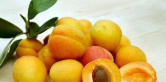 Câte calorii are o caisă crudă, conservată sau confiată câte calorii are o caisă