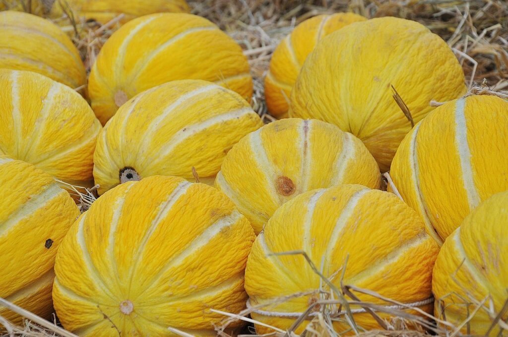 câte calorii are pepenele galben