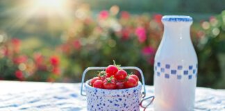 Câte calorii are o roșie cherry. Comparație cu una obișnuită câte calorii are o roșie cherry