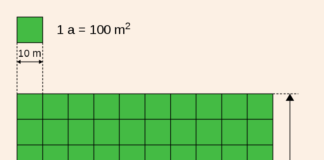 Câți metri pătrați are un hectar. Comparație cu arul câți metri pătrați are un hectar