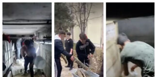 Elevii de la un liceu, scoși la muncă înaintea unei inspecții. Au fost puși să care bidoane și lemne