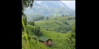 O imagine din România a cucerit internetul. „Aș da orice să mă trezesc cu această priveliște în fiecare dimineață” fundata