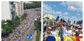 SONDAJ. 73% dintre români susțin greva profesorilor greva profesorilor