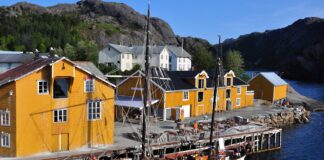 70 de joburi în Norvegia pentru români. 700 de lei pe zi, plus bani de chirie și de masă norvegia