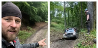 Cursă ilegală de off-road, organizată de un austriac în pădurile virgine din Transilvania. S-au distrus copaci și un sit arheologic off road transilvania