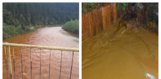 Poluare masivă cu fier, cupru și zinc pe Bistrița. Râul a devenit cărămiziu poluare pe bistrița