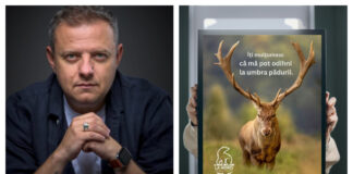 Un fotograf român pleacă în expediție în zona arctică. „Animalele nu au glas să-și strige durerea”