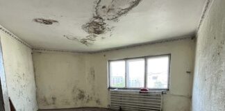 Cât costă un apartament cu 2 camere ce arată ca în filmele de groază. „Ofer 4 kg de cireșe cu codițe!” vaslui apartament