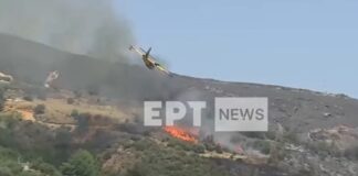 Un avion pentru stingerea incendiilor s-a prăbușit în Grecia avion de stingere a incendiilor grecia