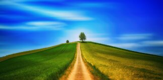 Cum va fi vremea în luna august. Când va fi mai cald vară