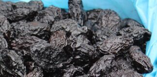 Câte calorii au 5 prune uscate. 3 exemple concrete câte calorii au 5 prune uscate