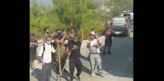 „Piele de găină când vedem aceste imagini!”. Cum au fost primiți pompierii români în Grecia