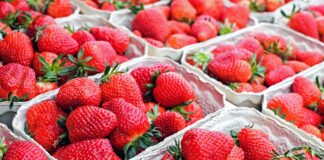 Câte calorii are 1 kg de căpșuni. Comparație cu un shake câte calorii are 1 kg de căpșuni