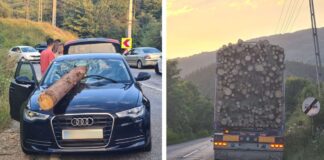 Un buștean a căzut dintr-un TIR și a străpuns parbrizul mașinii care circula în spate mașină buștean accident