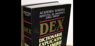 Singurul cuvânt din limba română care începe cu „nt”. Soluția salvatoare la „FAZAN” dicționar explicativ român dex