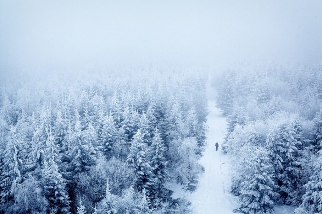 zăpadă iarnă cea mai mică temperatură din românia