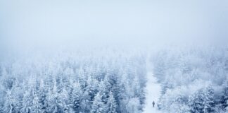 Cea mai mică temperatură din România, înregistrată în 1942 zăpadă iarnă cea mai mică temperatură din românia