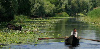 Mesaj RO-ALERT pentru locuitorii din 8 localități de la granița cu Ucraina: „Adăpostiţi-vă în beciuri!” delta dunării