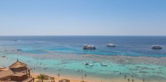 O turistă din Egipt și-a pierdut brațul după ce a confundat un rechin cu un ton atac rechin egipt