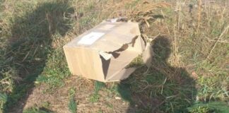 Un bărbat s-a speriat după ce curierul i-a adus un colet și a sunat la poliție. Ce era, de fapt, în pachet colet arad