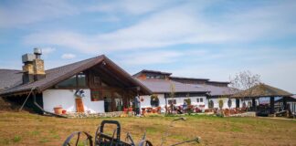 Cum arăta pensiunea Ferma Dacilor înainte să ardă din temelii și cât costa o noapte de cazare