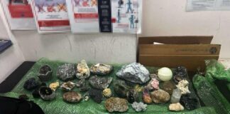 Descoperire neobișnuită în bagajul de cală al unei femei ce voia să zboare de la Cluj în Marea Britanie flori de mină bagaj