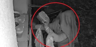 Hoț de sarmale și piftie, surprins de camerele video când fura caserolele scoase la rece hoț sarmale piftie