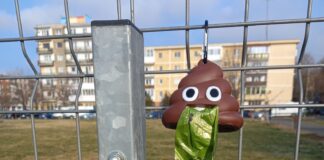 Ideea unor cetățeni întreprinzători. Ce au făcut ca să aibă un cartier curat pungi câini nevoi arad