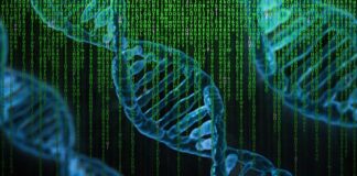 Oamenii de știință au eliminat cu succes virusul HIV din celule infectate. Au folosit o tehnologie premiată cu Nobel ADN celulă