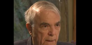 A murit criticul și istoricul literar Nicolae Manolescu nicolae manolescu