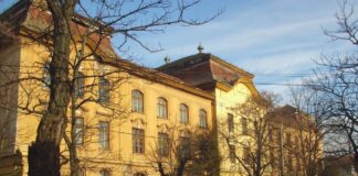 Peste 40 de elevi și profesori de la un liceu au ajuns la spital intoxicați. Nu se știe de la ce s-au îmbolnăvit colegiul loga timișoara