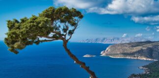 Grecia oferă 25.000 de vacanțe „gratuite”. Turiștii primesc vouchere de până la 500 de euro insula rhodos